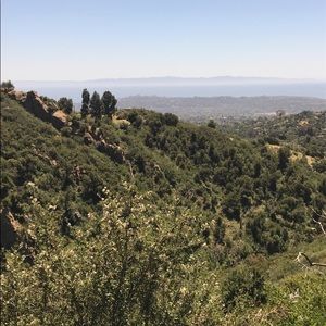 Meet your Posher, Yvette